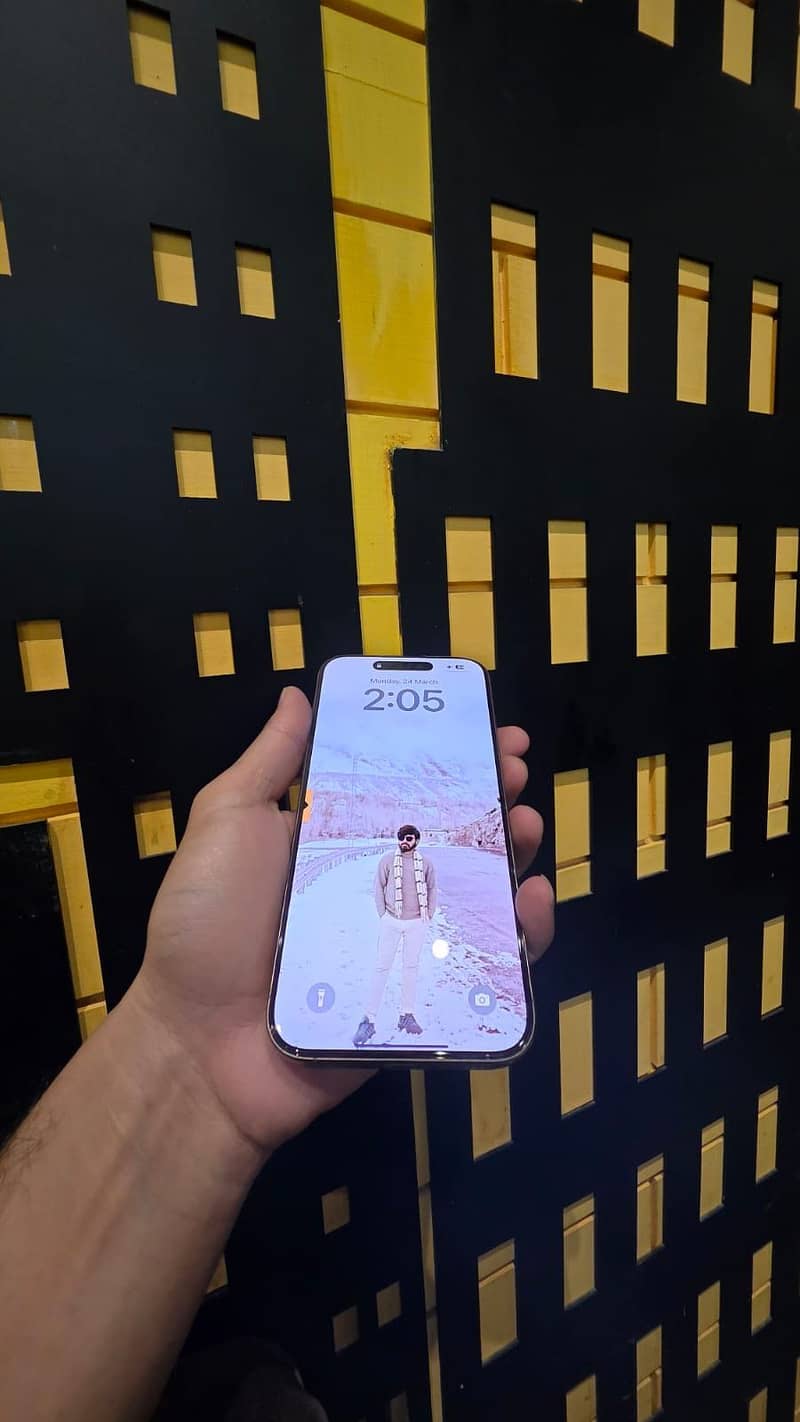 Apple iPhone 16 Pro Max 1