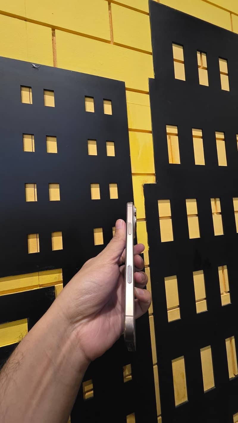 Apple iPhone 16 Pro Max 4