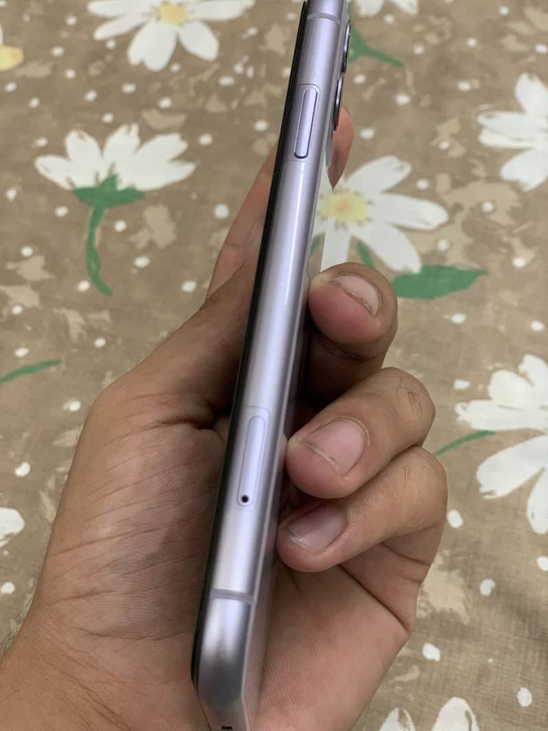 Apple iPhone 11 2