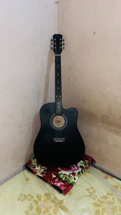 Washburn brand new guitar