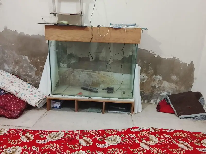 3 Feet Aquarium Tank with Solid Wooden Stand & Filter — photo 2