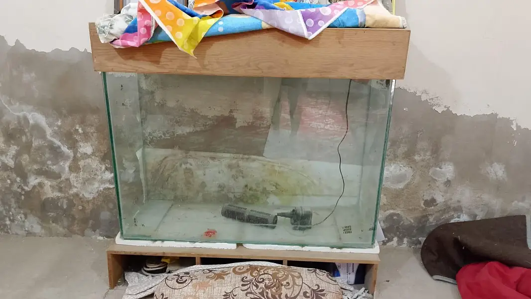 3 Feet Aquarium Tank with Solid Wooden Stand & Filter — photo 5