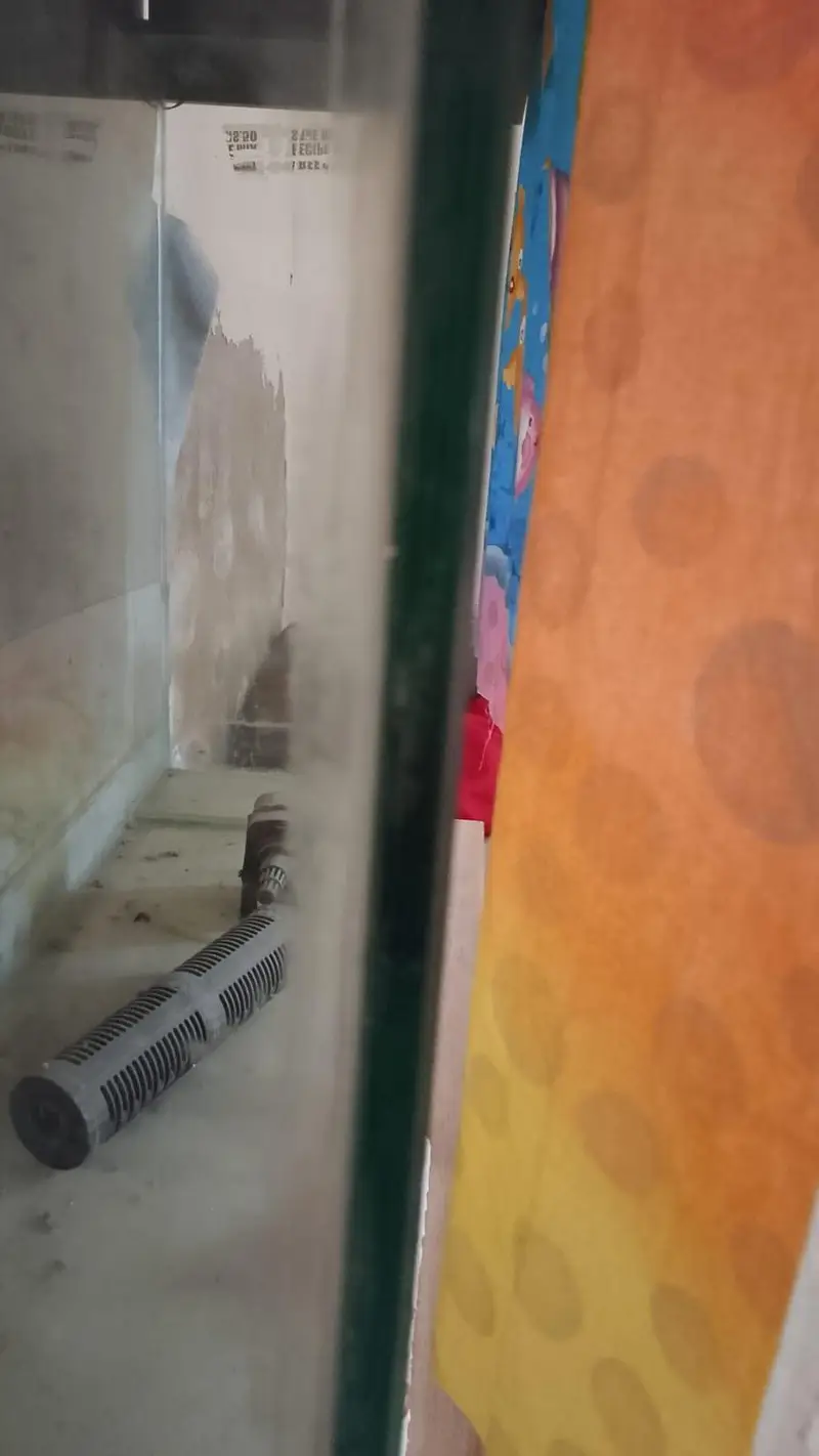 3 Feet Aquarium Tank with Solid Wooden Stand & Filter — photo 10
