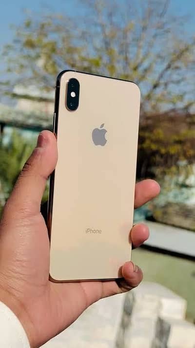 Apple iPhone XS Max PTA Approved.