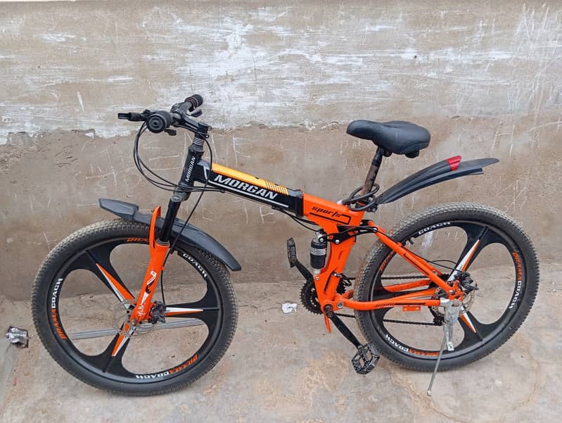 Morgan Adjustable Cycle (Imported) 1