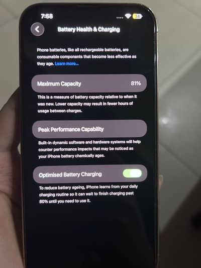 Apple iPhone 13 Pro Max
