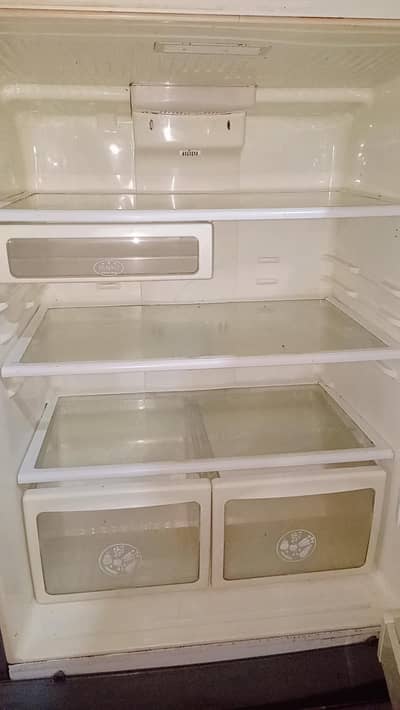 LG Big size fridge