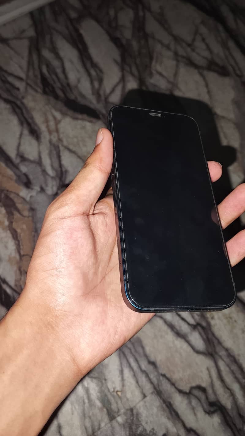 Apple iPhone 12 1