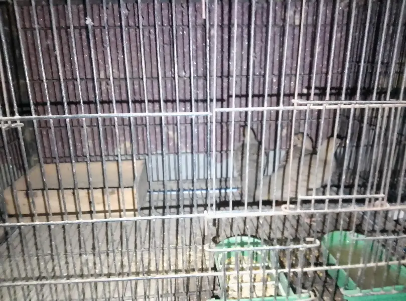 onemale two female — photo 3