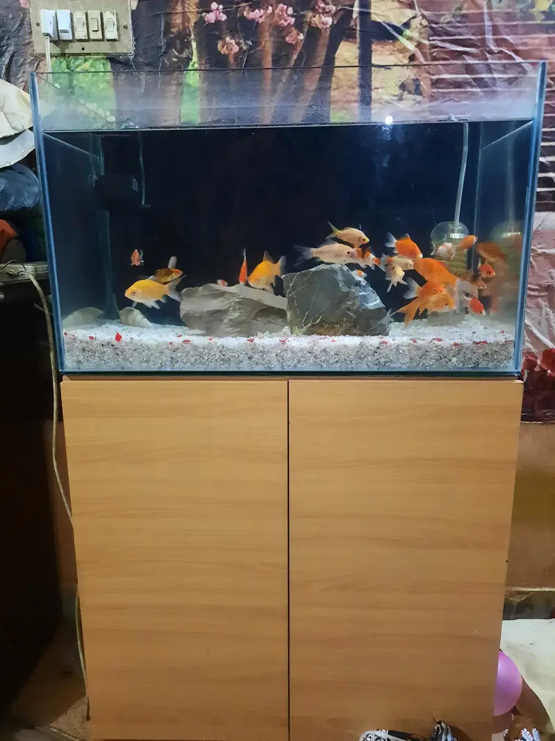 red sea aquarium — photo 2