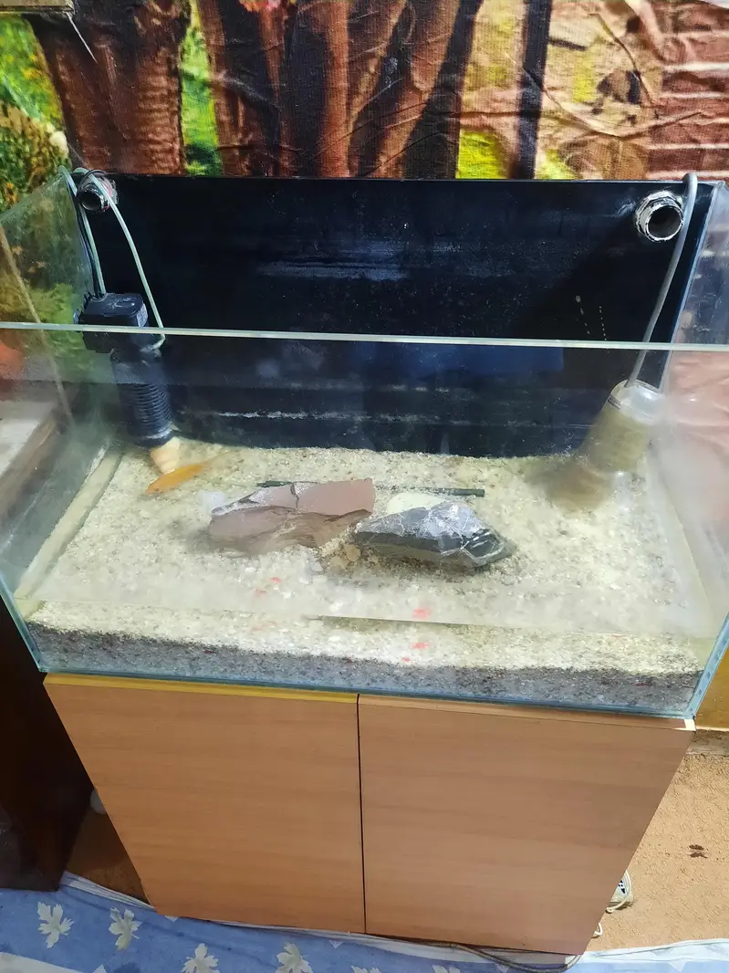 red sea aquarium — photo 5