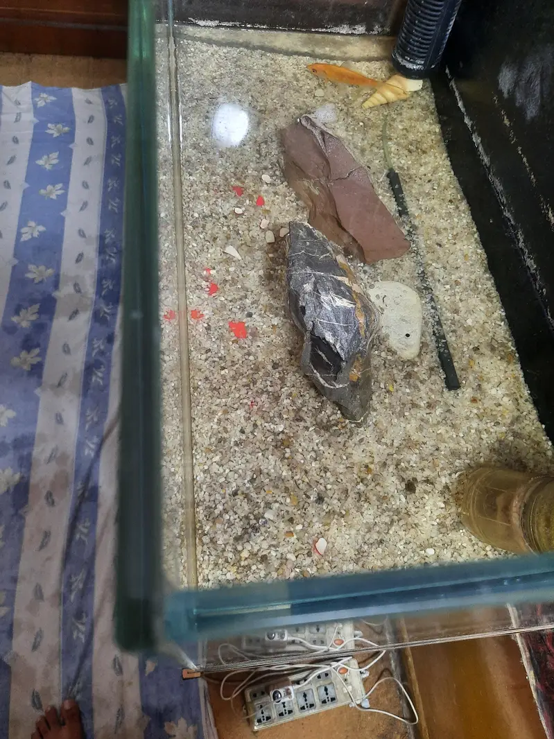 red sea aquarium — photo 6