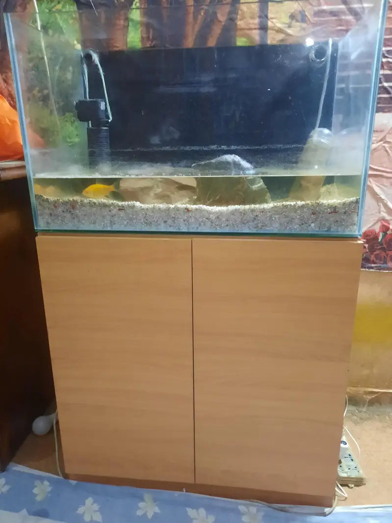 red sea aquarium — photo 8