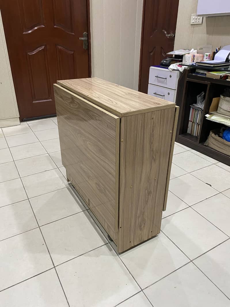Folding Dining Table and console Table 2