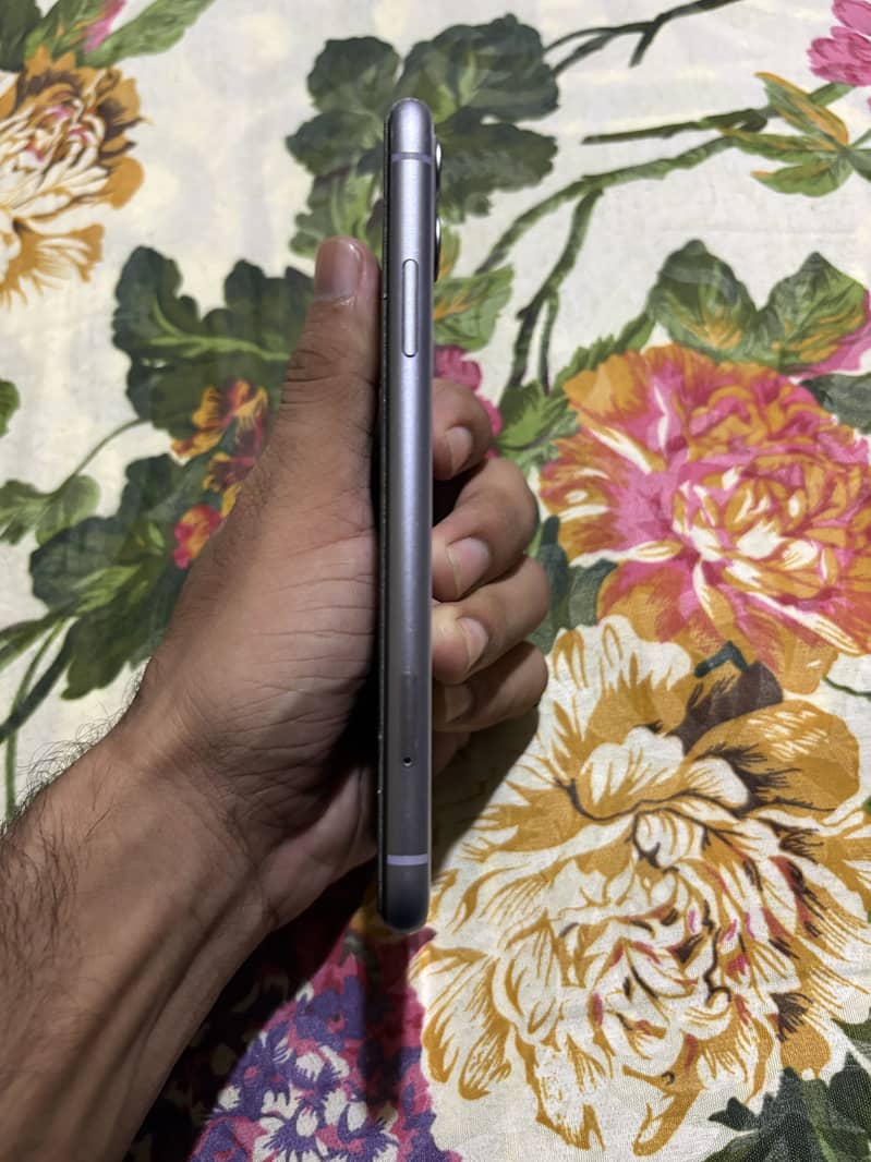 Apple iPhone 11 3
