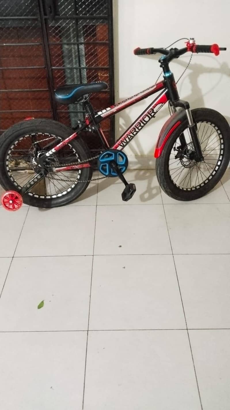 bycycle 1