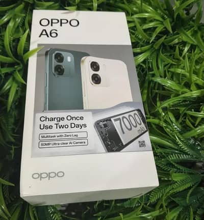 OPPO A6 8+8/256