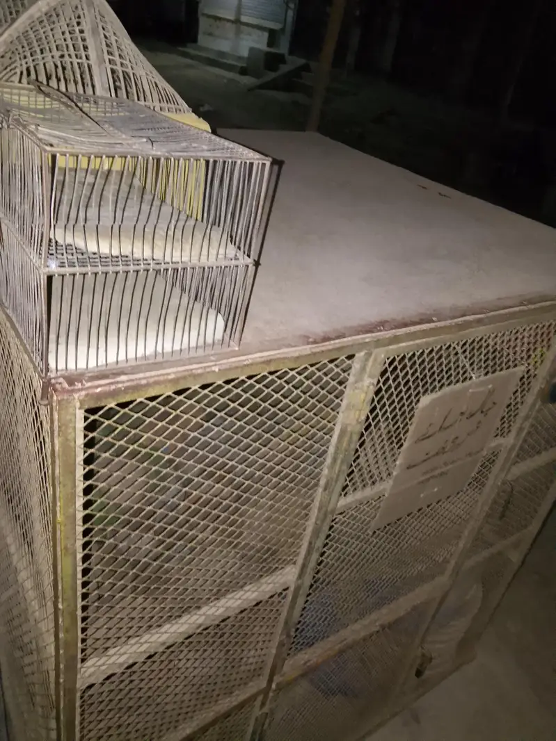 used cage fog sale weight 100 kg — photo 3