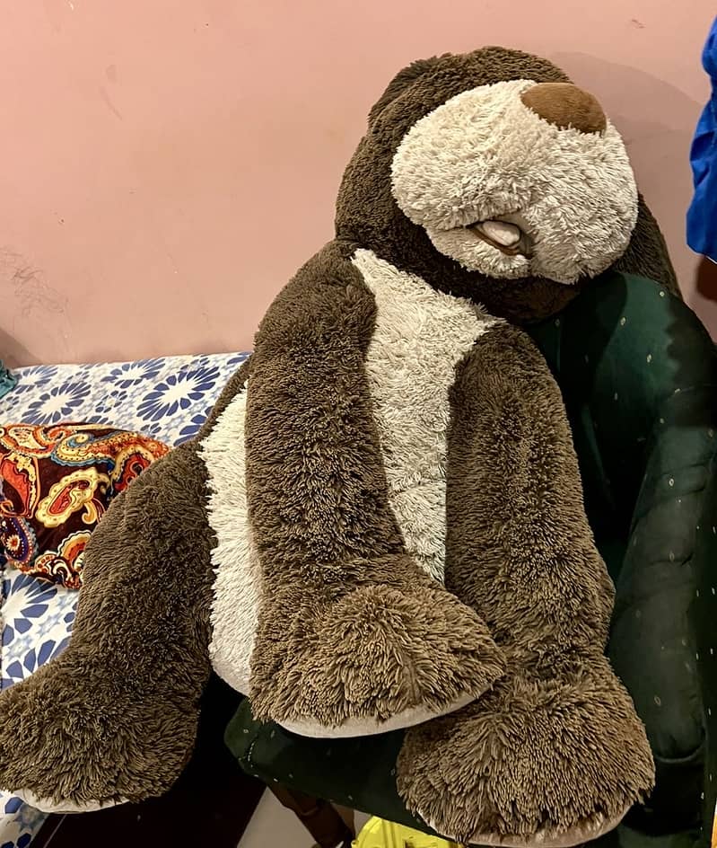Teddy bear Extra large full size 1