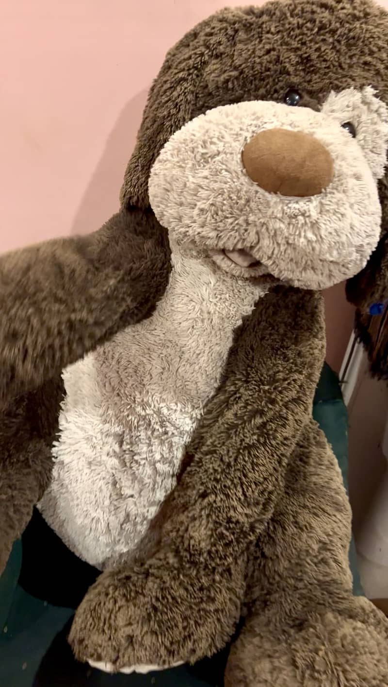 Teddy bear Extra large full size 4