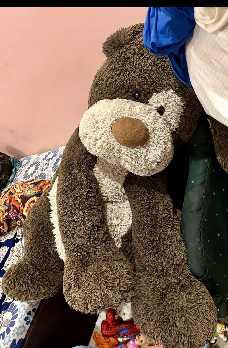 Teddy bear Extra large full size 5