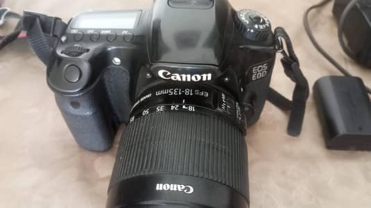 Canon EOS 60D with 18-135mm Lens