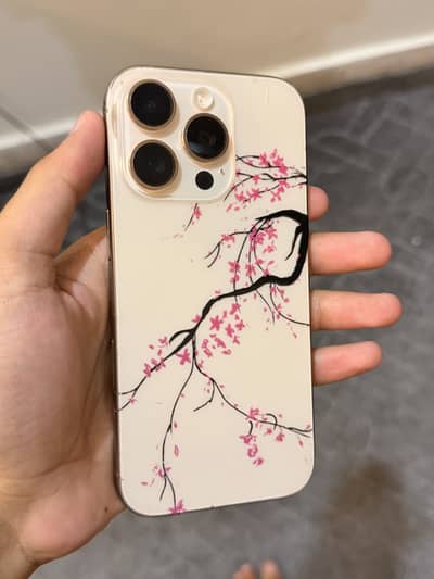 Apple iPhone 16 Pro