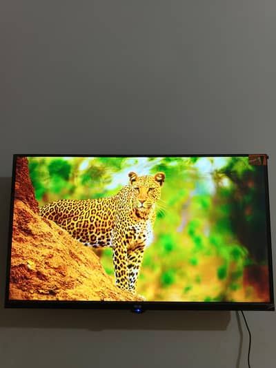 Hi q F2 Voice Control) (With Warranty)32 Inches led ha