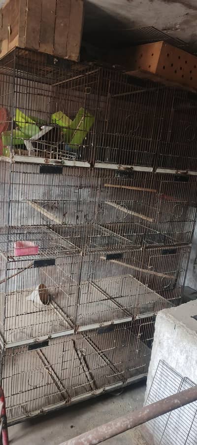 12 portion birds cage