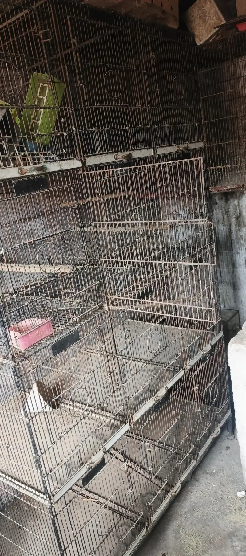 12 portion birds cage — photo 2