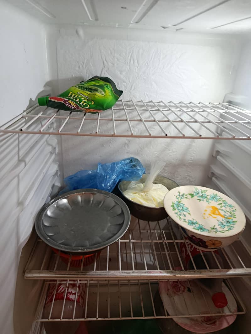 fridge 5