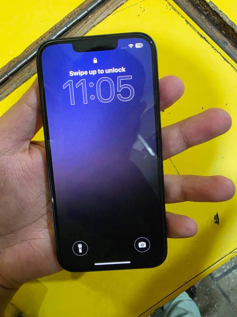 Apple iPhone 13 0