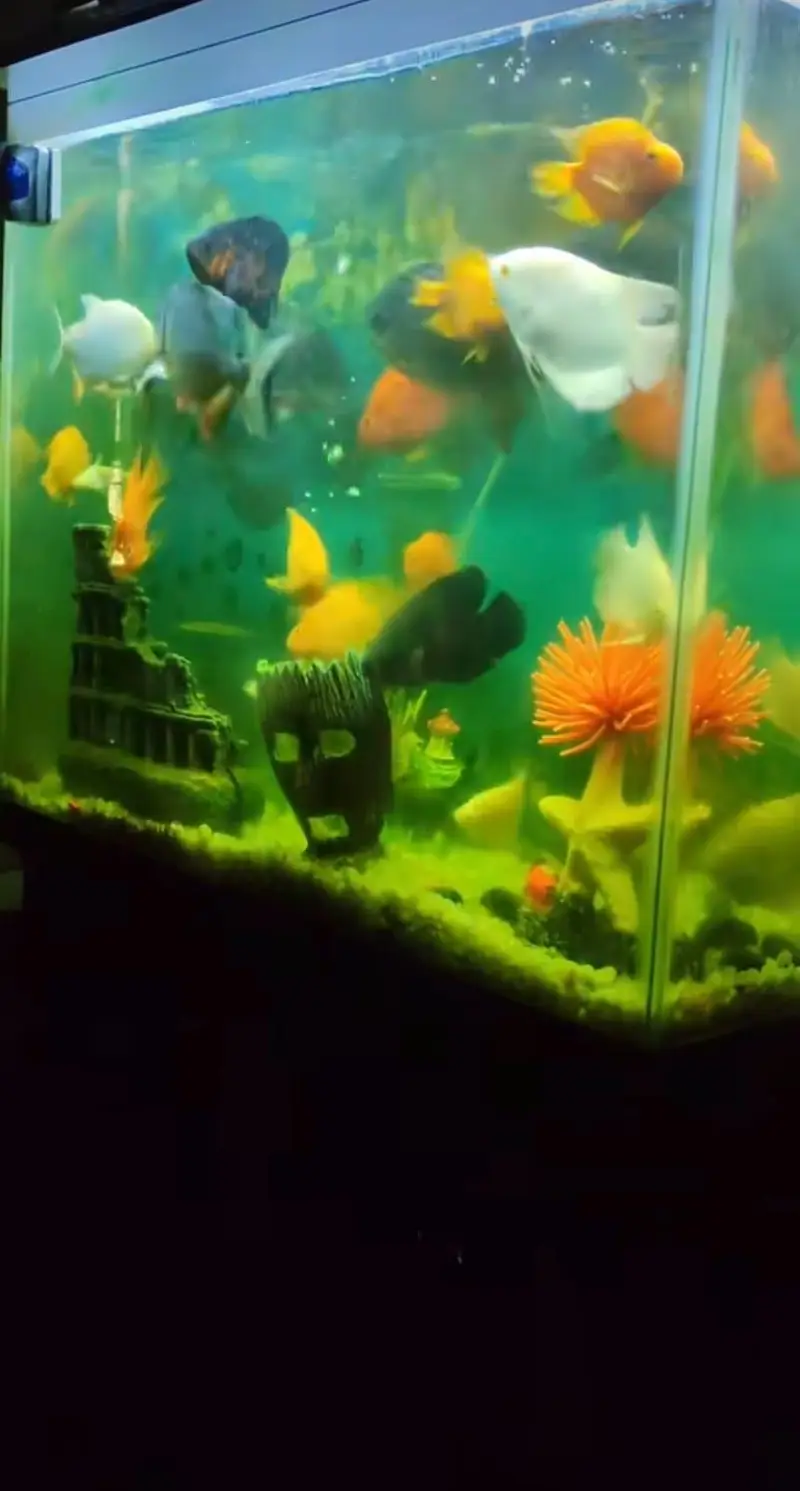 Aquarium for sale — photo 3