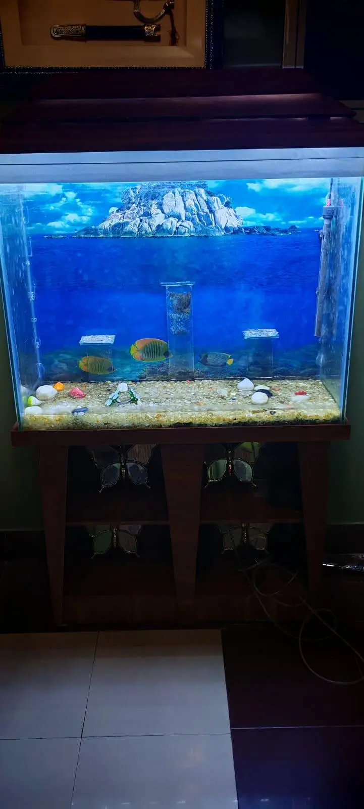 Aquarium for sale — photo 5