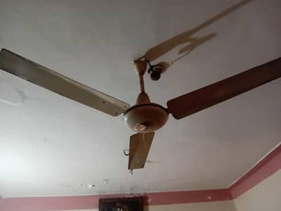 argent sale 4 fan