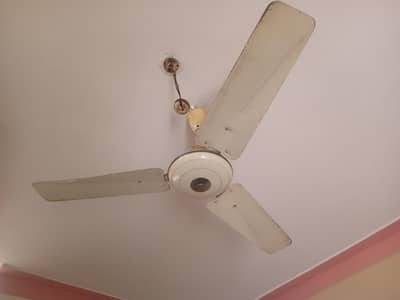 argent sale 4 fan ha