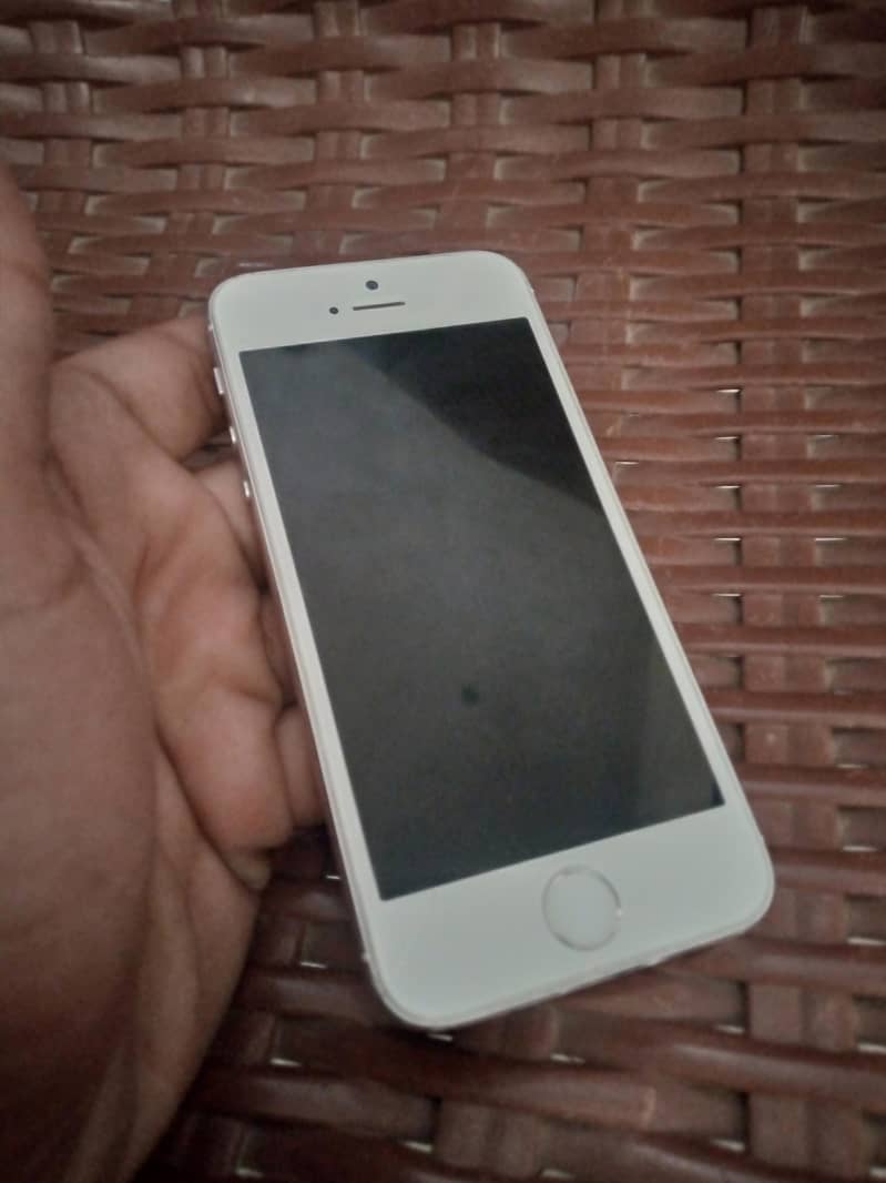 Apple iPhone 5s 1