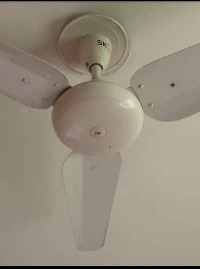 Ceiling Fans for sale