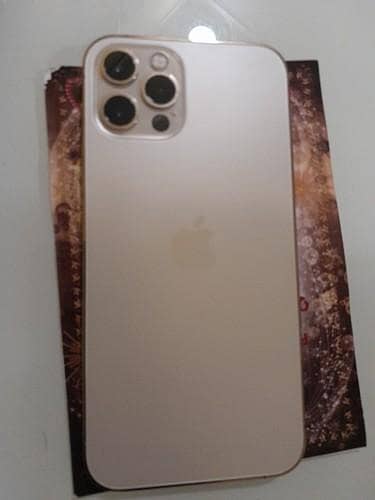 Apple iPhone 12 Pro Max