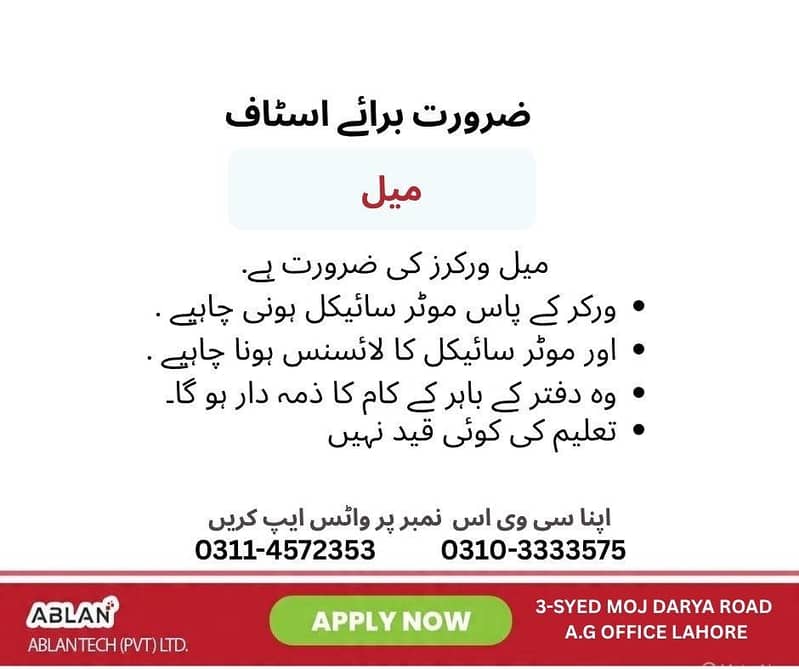 Male Office Works Required 0