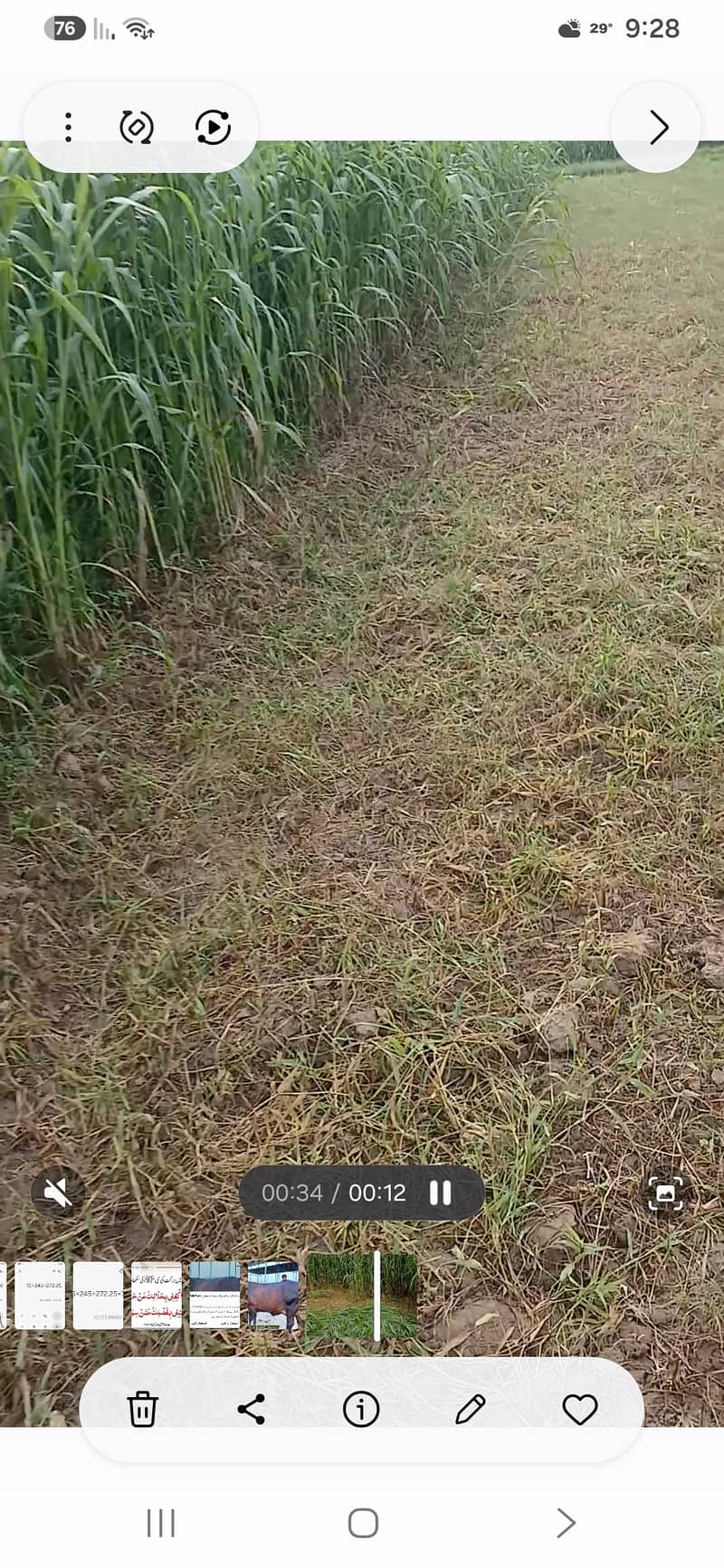 جوار برائے فروخت 2