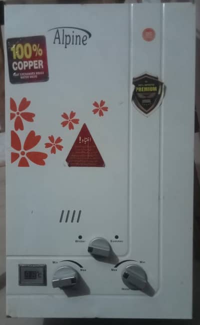 6 Litre Instant Geyser for Sale