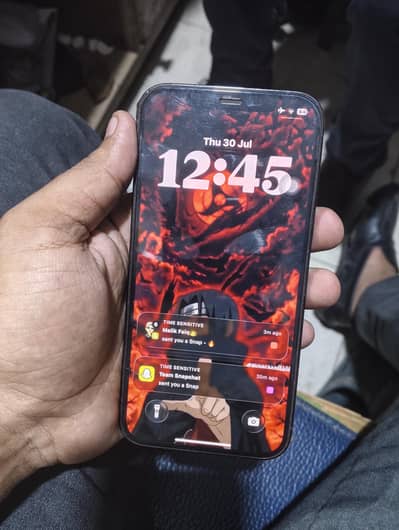 Apple iPhone 12 Pro