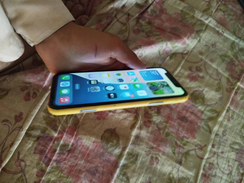 iPhone 11 5