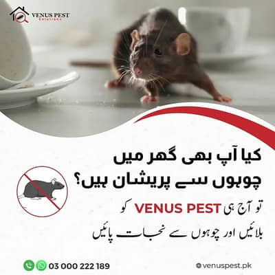 Fumigation Services, Pest Control Lahore, Termite Control, Bed Bug