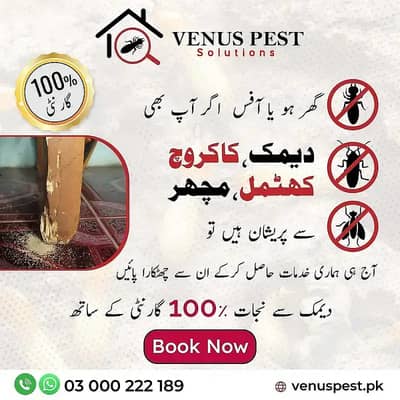 Termite Control | Deemak Treatment | Cockroach & Pest Control Service