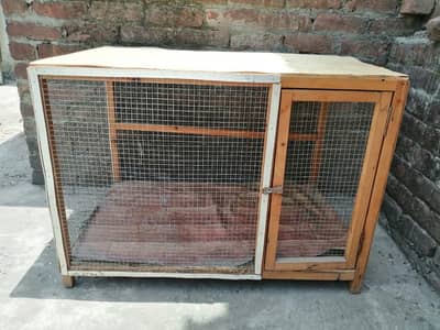 Cage with 10 breader pairs of Australian and one breader pair of love