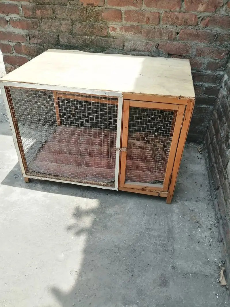 Cage with 10 breader pairs of Australian and one breader pair of love — photo 2