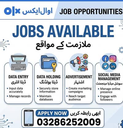 Remote Jobs for male and female