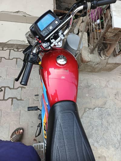 Honda 70cc brand new bike.